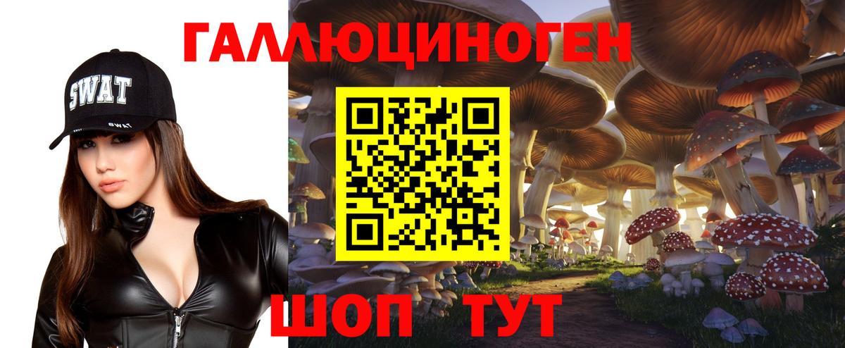 Псилоцибиновые грибы мицелий Анжеро-Судженск