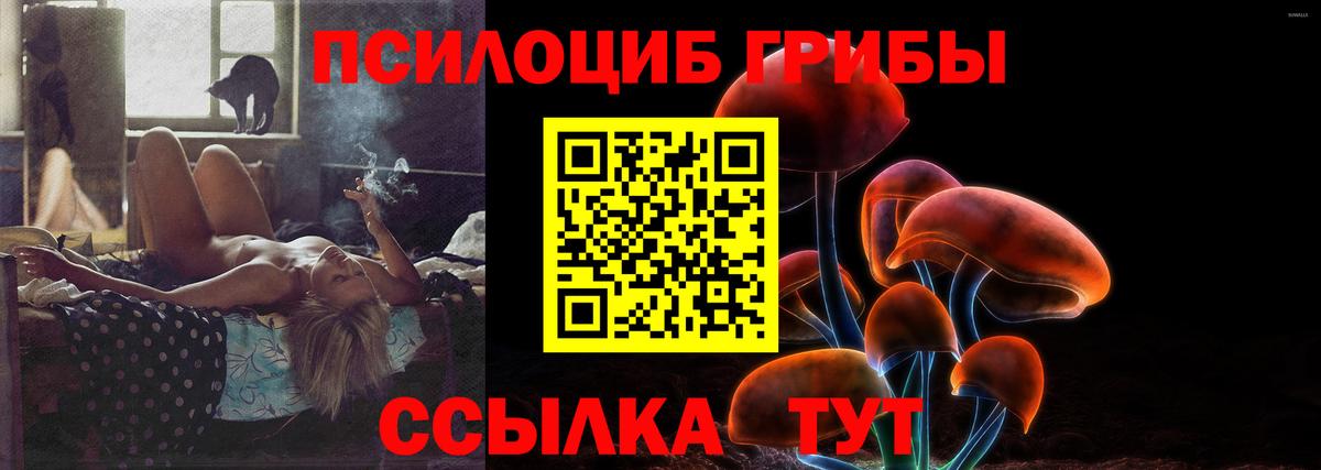 Анжеро-Судженск  Галлюциногенные грибы ЛСД  закладка  Вход с VPN 
